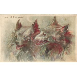 Italian art postcard, dogs, Degami 577. s: T. Corbella