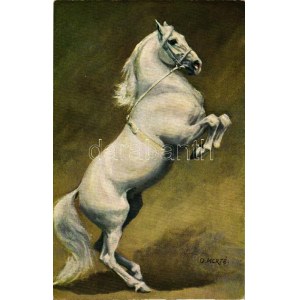 Horse s: O. Merté