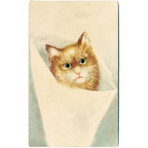Cat with button eyes (EK)