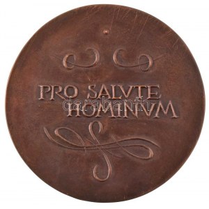 Nagy István János (1938-) Semmelweis Ignác 1818-1865 / Pro Salvte Hominvm kétoldalas, öntött bronz plakett (84mm) T...