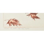 Almásy Aladár (1946-): Elvárta az ősztől, hogy végig tegezze, 1978. Rézkarc, papír, jelzett. Próbanyomat. 35x30,5 cm...