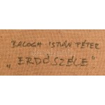 Balogh István Péter (1950-): Erdőszéle. Olaj, farost, jelezve jobbra lent, hátoldalán autográf felirattal, fakeretben...