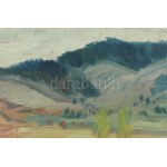Cseh László (1914-1991): Dombok. Olaj, farost, jelzett. Kissé kopott keretben, 34x37 cm