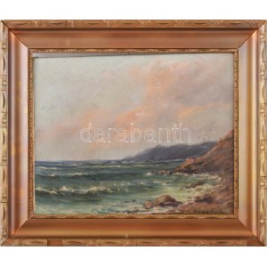 Méray Gyula (?-), XX. sz. első fele: Hullámzó tenger. Olaj, vászon, faroston. Jelzett. Díszes, sérült fakeretben. 25x31...