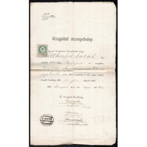 1893 Pozsony, gőzgép-kezelői vizsgabizonyítvány, aláírásokkal, bélyegzővel...