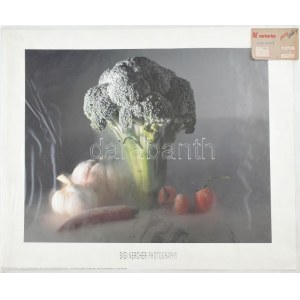 Sigi Kercher (?-): Csendélet. Fotóprint, papír, jelzett a nyomaton, Verkerke Gallery kiadása, 1992...