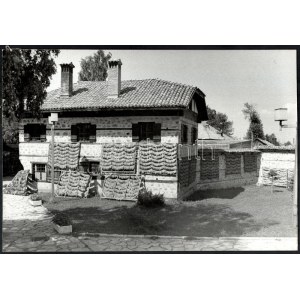 Engi László: Szárad a dohány, nagyméretű fotó hátoldalon feliratozva, 39,5×27,5 cm