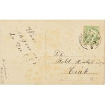 1914 Temesvár, korai kommunista hölgy, agitációs feliratokkal: (le a vagyonos osztállyal, stb...
