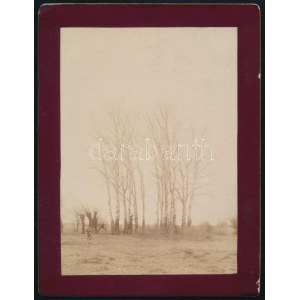 cca 1900 Vadászat a pusztában, kartonra ragasztott fotó, 14,5×10 cm