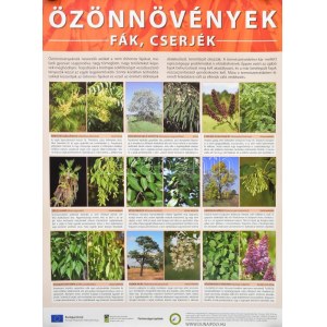 Özönnövények Fák és cserjék, lágyszárúak, 2 db Duna-Ipoly Nemzeti Park természetvédelmi plakát...