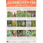 Özönnövények Fák és cserjék, lágyszárúak, 2 db Duna-Ipoly Nemzeti Park természetvédelmi plakát...