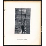 KUT. Képzőművészek Új Társasága kiállításának katalógusa. 1936, Nemzeti Szalon Művészeti Egyesület. Kiadói papírkötés...
