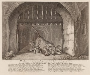 Johann Elias Ridinger (1698 - 1767 ), Lwica niesie swoje młode (Die Löwin träget ihre Jungen), 1736