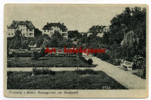 Świebodzice - Freiburg - Rosengarten