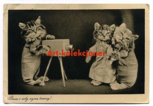 Cats - Stamp of the 17th Festival of Contemporary Music