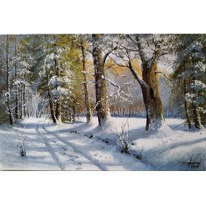 Marek Szczepaniak, Old forest in the snow, 2019
