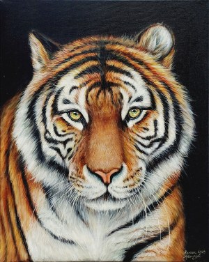 Barbara Adamczyk, Tygrys, 2023