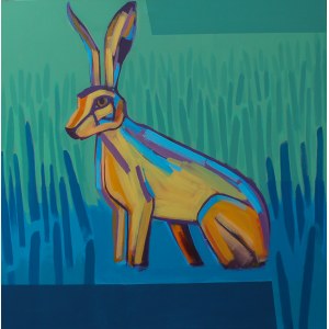 Dorota Zuber, Australian Rabbit, 2017