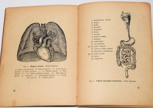 LIPNOWSKI Jerzy - Powszechny lekarz domowy. Lodž 1938.