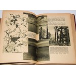 La serie delle Antiche Terre Polacche (7 volumi) a cura di Zygmunt Wojciechowski.