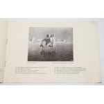 [catalogue d'exposition] Exposition circulaire d'œuvres de Jan Styka, Tadeusz Styka, Adam Styka, Nowy Świat 67, Varsovie 1930