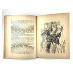 Duninówna Helena - Lwica. Ilustracje Stanisława Sawiczywskiego.