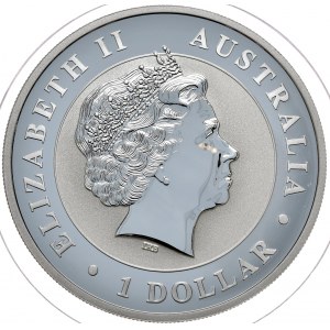 Australia, koala 2011, 1 oz, 1 uncja Ag 999, Privy Mark - Berliner Baer, rzadki