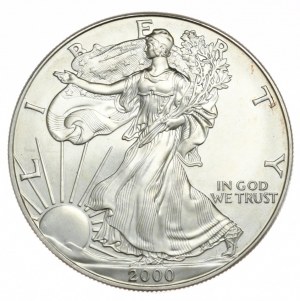 USA, 1 dolar, 2000, 1 oz, ryzí stříbro