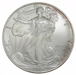 USA, 1 dolar, 2006, 1 oz, ryzí stříbro