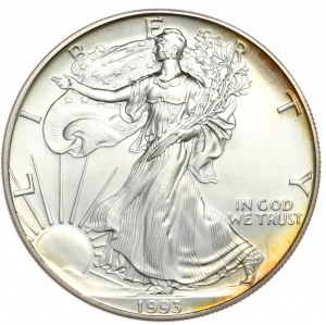 USA, 1 dolár, 1993, 1 oz, rýdze striebro