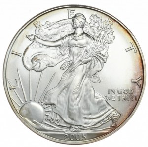 USA, 1 dolar, 2005, 1 oz, ryzí stříbro
