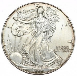 USA, 1 dolar, 1999, 1 oz, ryzí stříbro