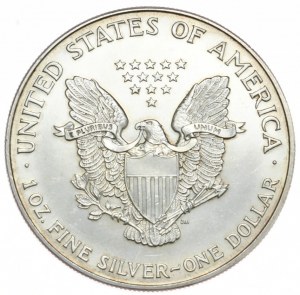 USA, 1 dolar, 1999, 1 oz, ryzí stříbro