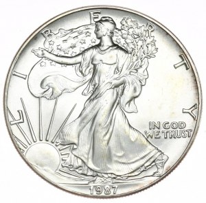 USA, 1 dollaro, 1987, 1 oz, argento fino