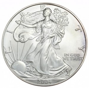 USA, 1 dolár, 2004, 1 oz, rýdze striebro