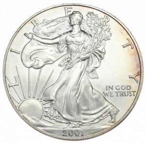 USA, 1 dolar, 2001, 1 oz, ryzí stříbro