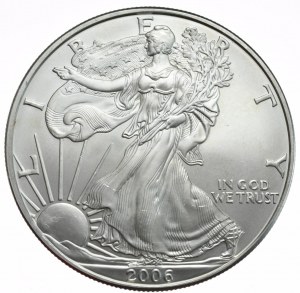 USA, 1 dolar, 2006, 1 oz, ryzí stříbro