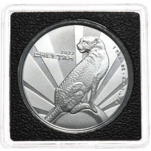 Kamerun, 500 Franków, 2022r., 1oz., Gepard