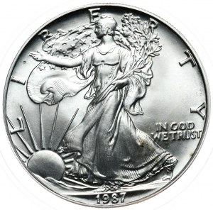 USA, Liberty Silver Eagle 1987 dollar, 1 oz, 999 AG once