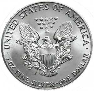 USA, Aquila d'argento Liberty 1987, 1 oz, 999 AG oncia