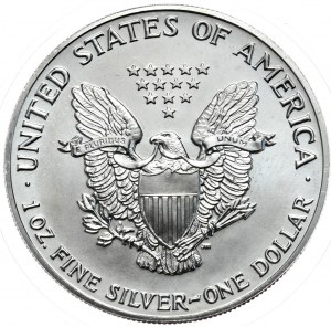 USA, Liberty Silver Eagle 1991 dollar, 1 oz, 999 AG once
