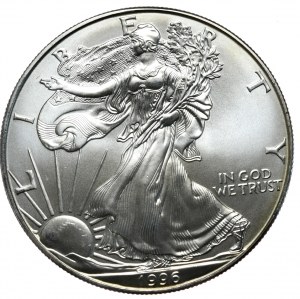 USA, Liberty Silver Eagle 1996 dolar, 1 oz, 999 AG unce, nejvzácnější ročník