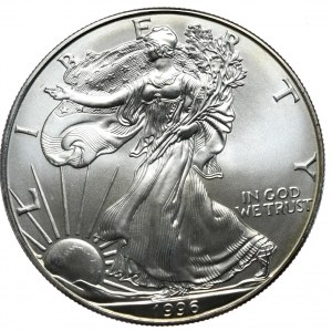 USA, Liberty Silver Eagle 1996 dollaro, 1 oz, 999 AG oncia, annata più rara