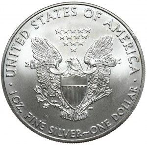 USA, Liberty Silver Eagle 2008 dollar, 1 oz, 999 AG ounce