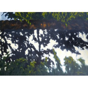 Jacek Barszcz, Shadows on the Wall 73x100