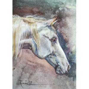 Alexander Franko, Horse 30x21