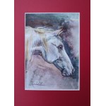 Alexander Franko, Horse 30x21