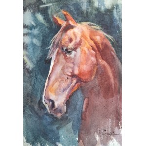 Alexander Franko, Horse 30x21