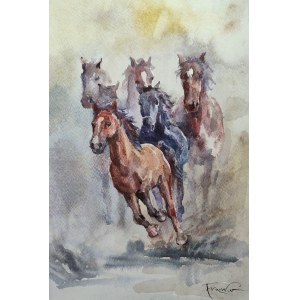 Alexander Franko, Pferde 40x30