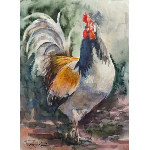 Alexander Franko, Rooster 35x28